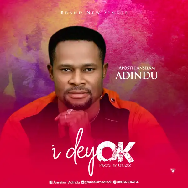 Apostle Anselam Adindu - I Dey Ok